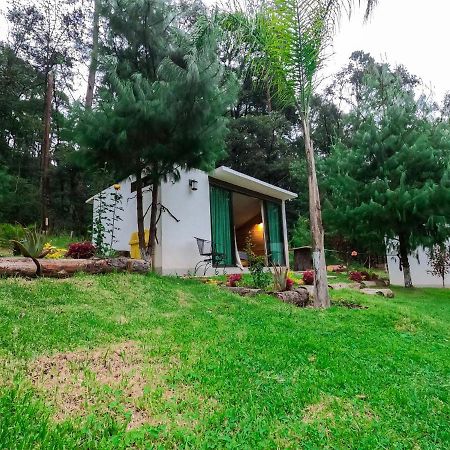 Romanticas Cabanas En Bosque Acaxochitlán Εξωτερικό φωτογραφία