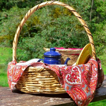 Romanticas Cabanas En Bosque Acaxochitlán Εξωτερικό φωτογραφία