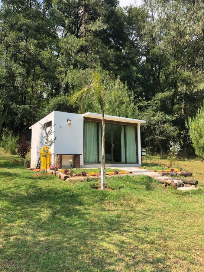Romanticas Cabanas En Bosque Acaxochitlán Εξωτερικό φωτογραφία