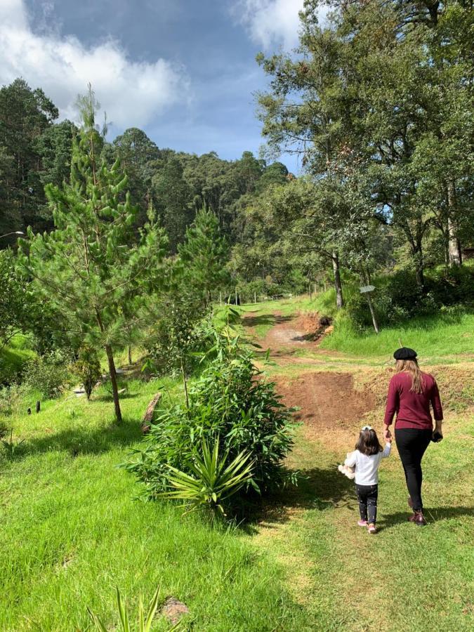 Romanticas Cabanas En Bosque Acaxochitlán Εξωτερικό φωτογραφία