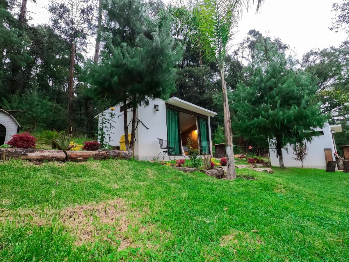 Romanticas Cabanas En Bosque Acaxochitlán Εξωτερικό φωτογραφία