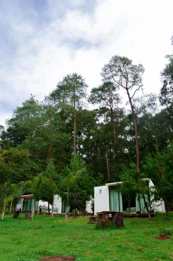 Romanticas Cabanas En Bosque Acaxochitlán Εξωτερικό φωτογραφία