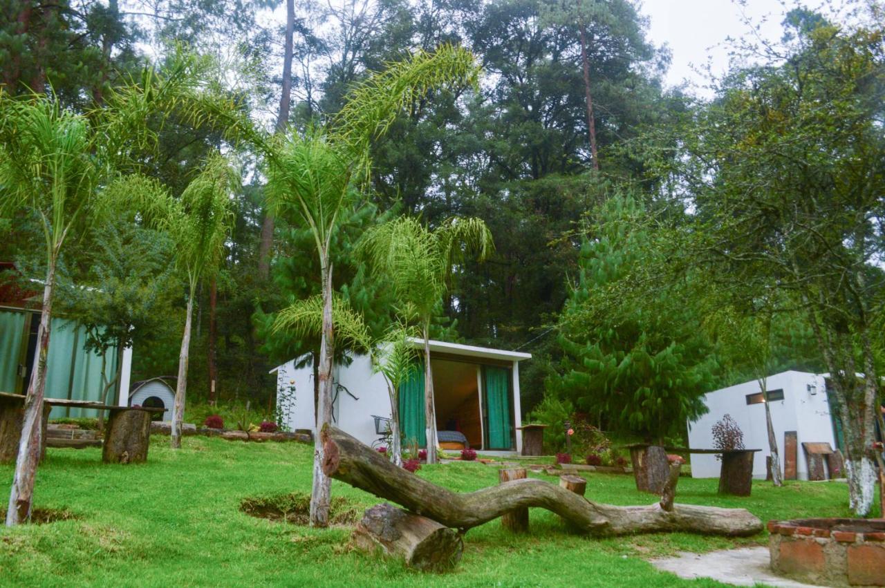 Romanticas Cabanas En Bosque Acaxochitlán Εξωτερικό φωτογραφία