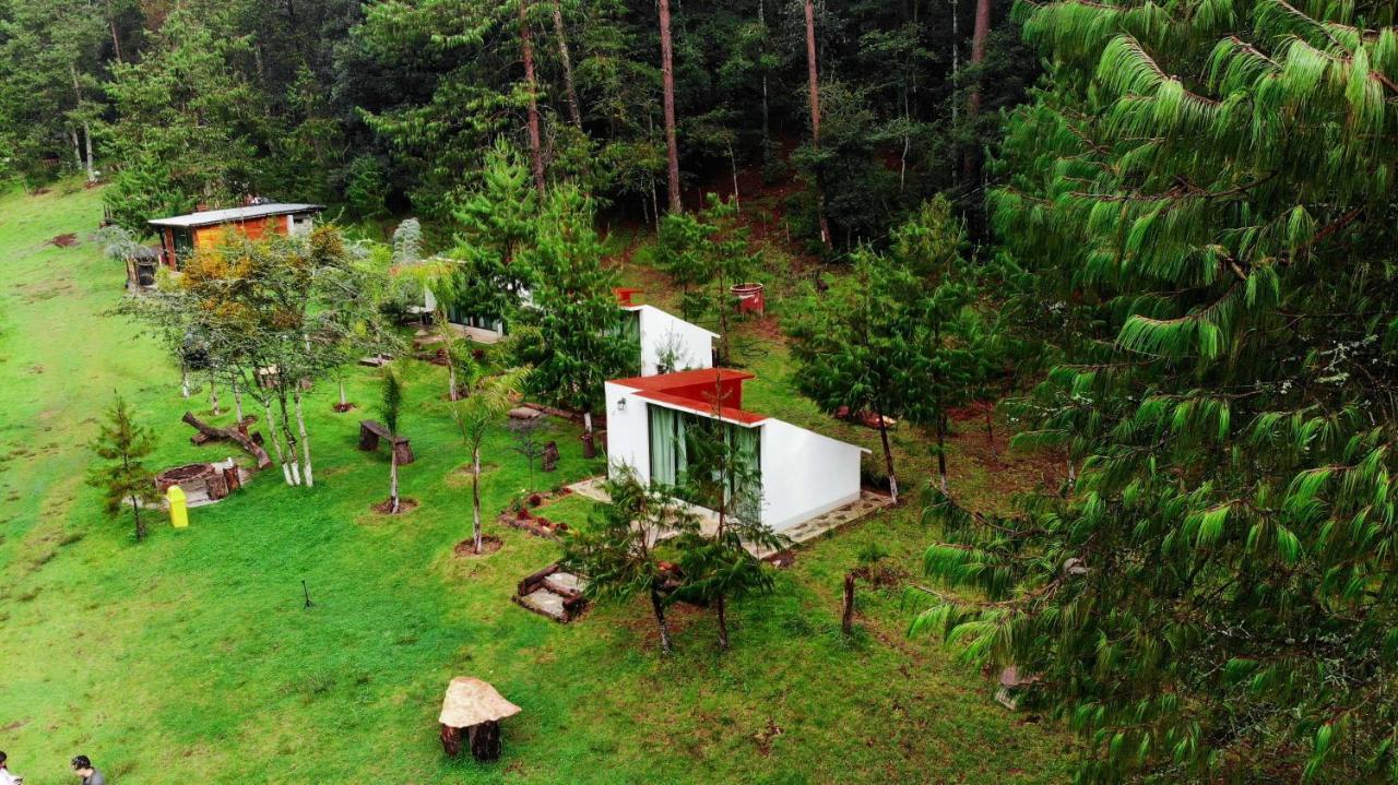 Romanticas Cabanas En Bosque Acaxochitlán Εξωτερικό φωτογραφία