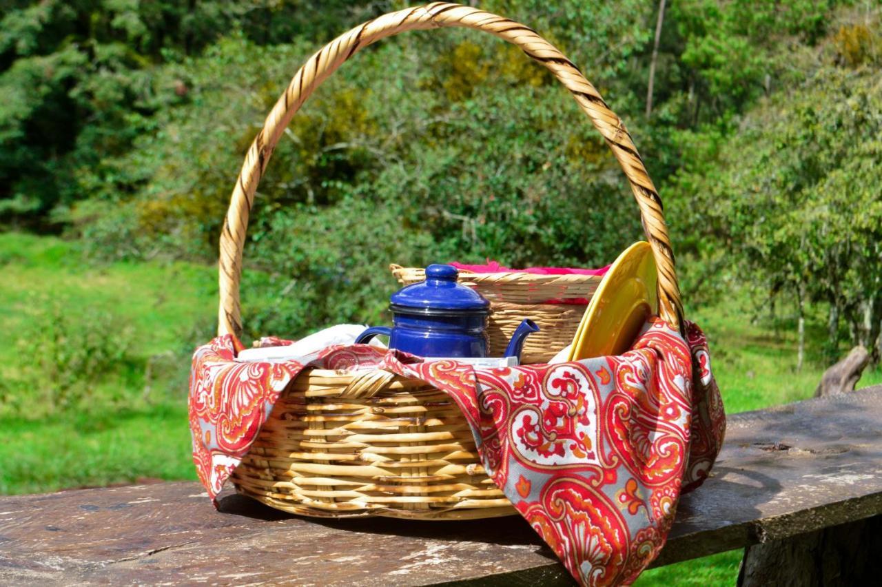 Romanticas Cabanas En Bosque Acaxochitlán Εξωτερικό φωτογραφία